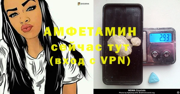 бошки Пересвет
